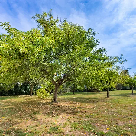 Angers Parc Expos Hotel 2*