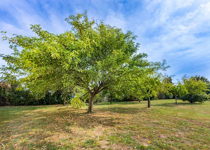 Angers Parc Expos Hotel 2*